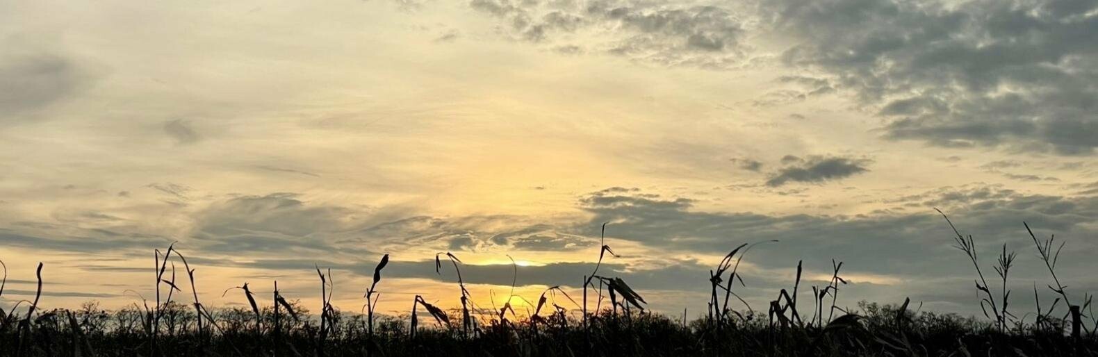 На Полтавщині іще буде тепло, але з дуже сильним вітром