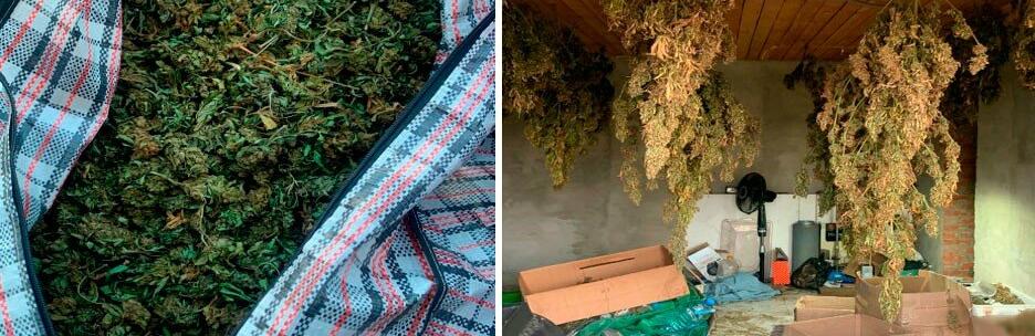 На Полтавщині у 43-річного наркомагната вилучили відра з канабісом та сотні висушених конопель