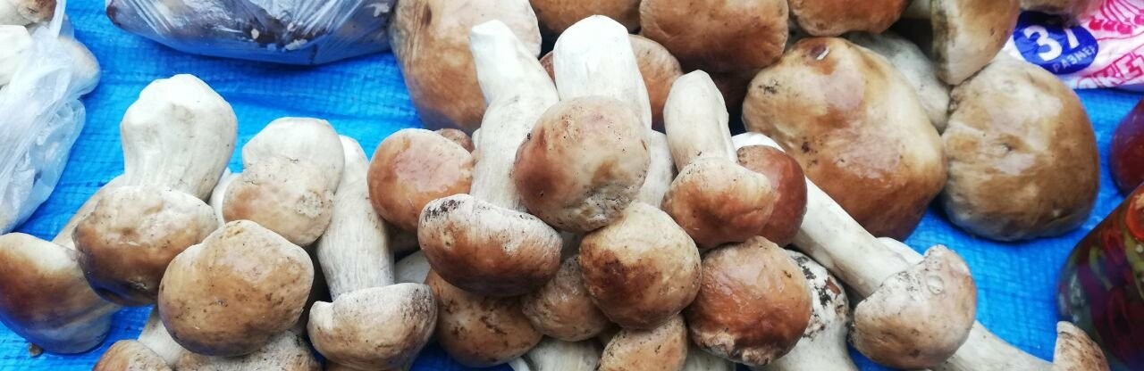 «Тихе полювання» у розпалі: скільки коштують гриби на ринках Полтави?