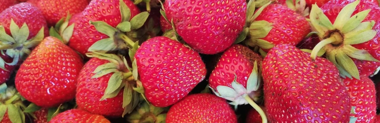 Сезон полуниць - у розпалі. Які ціни на ринках Полтави?