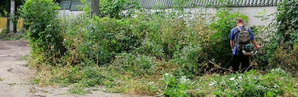 У Полтаві закликають терміново викосити траву на занедбаних ділянках