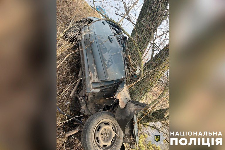 На Полтавщині молодий хлопець вилетів на авто у кювет та зіткнувся з деревом: є жертви