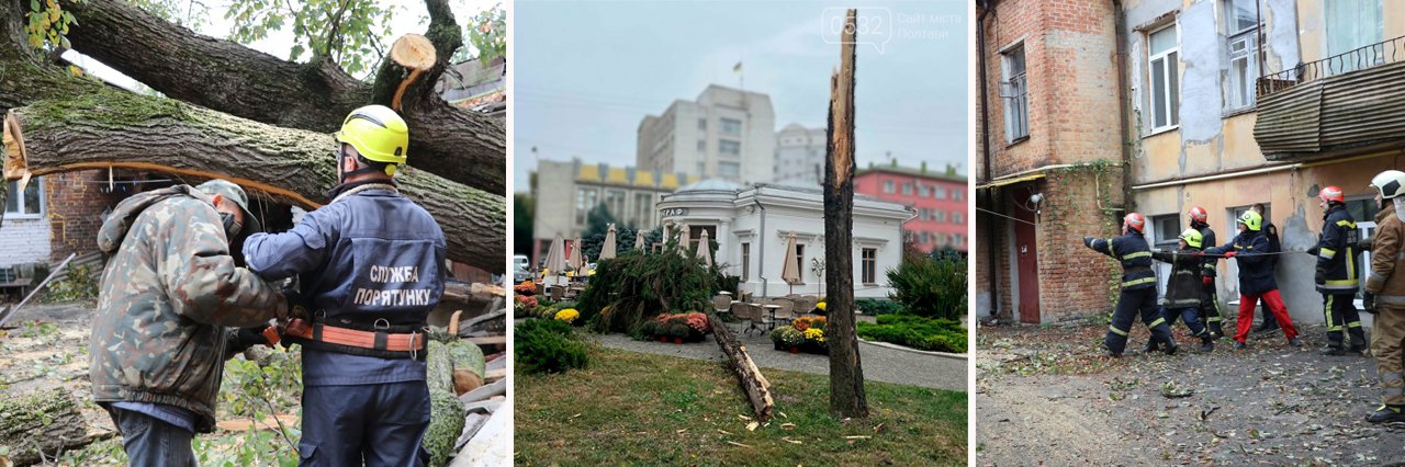 У Полтаві проблему падіння аварійних дерев не зможуть вирішити швидко: заявок - тисячі, а бригада зі спилювання у 