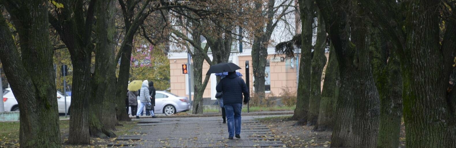 У Полтаві та області різко потеплішає та буде сильний вітер