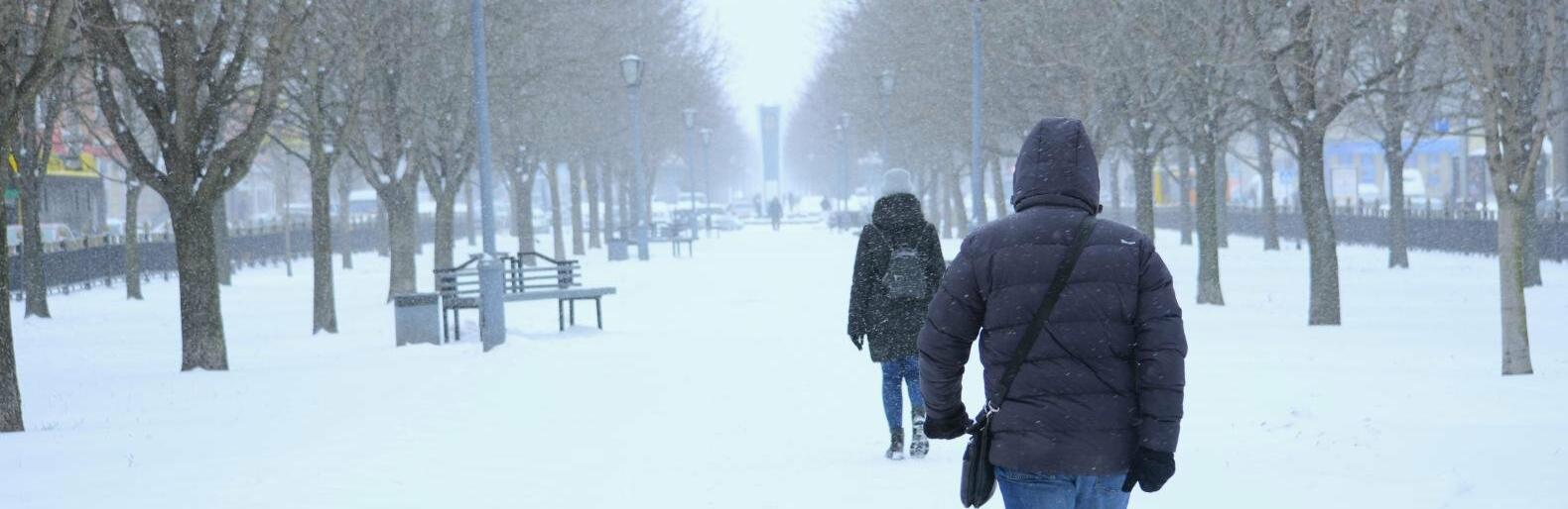 У Полтаву повернувся сніг, а температура впала нижче нуля