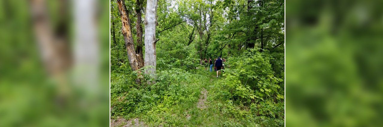 У Полтаві створили ботанічний заказник місцевого значення «Гришків ліс»