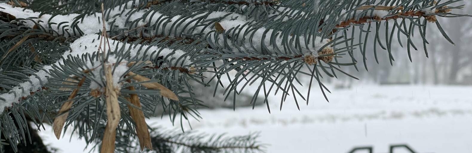 На Полтавщині буде мінливо хмарно та без опадів