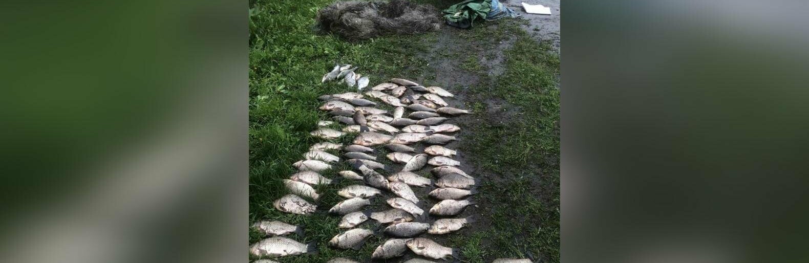 На Полтавщині чоловік незаконно виловив риби на суму понад 125 тис. гривень
