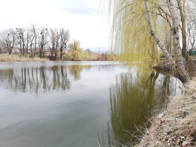 Коли в Україні остаточно відступлять холоди