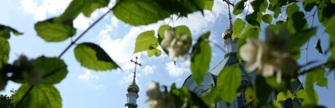 Сьогодні Трійця - одне з найбільших свят православного календаря