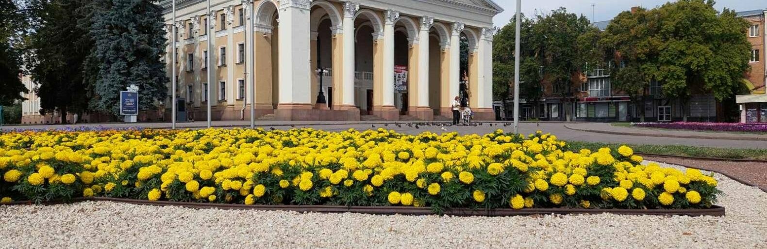 Ховайтеся в затінку та приготуйте панамки: на Полтавщині посилюється спека