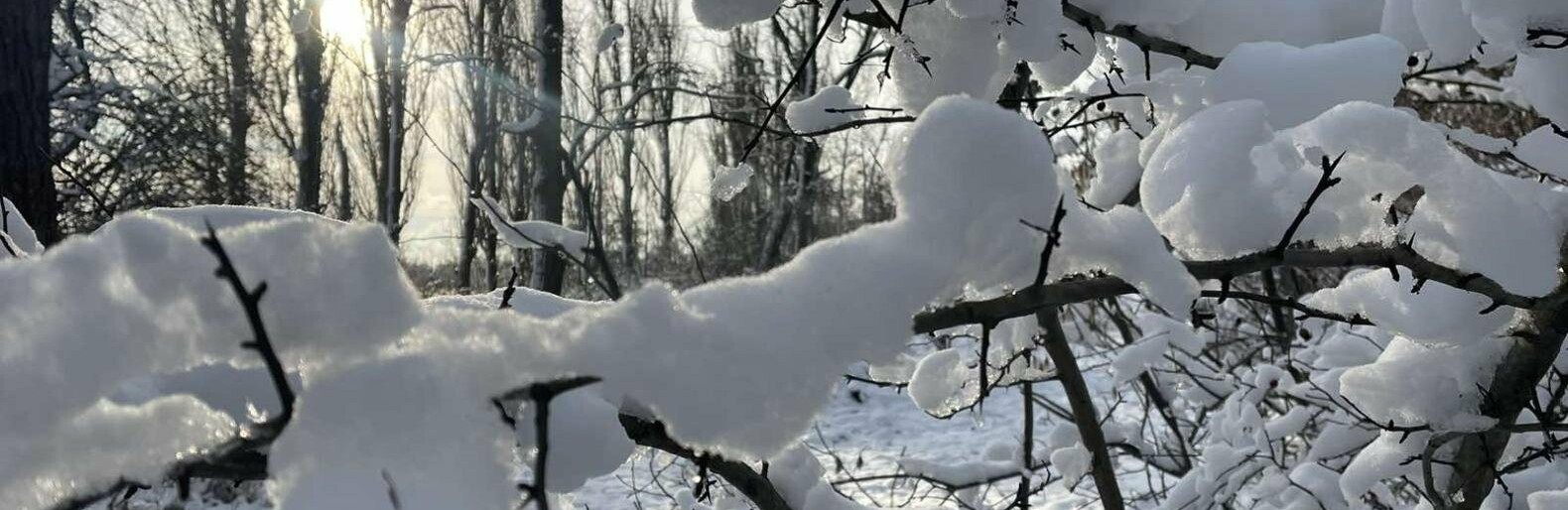 У Полтаві синоптики прогнозують снігові замети, хуртовини, льодяні дощі, ожеледицю й сильний штормовий вітер