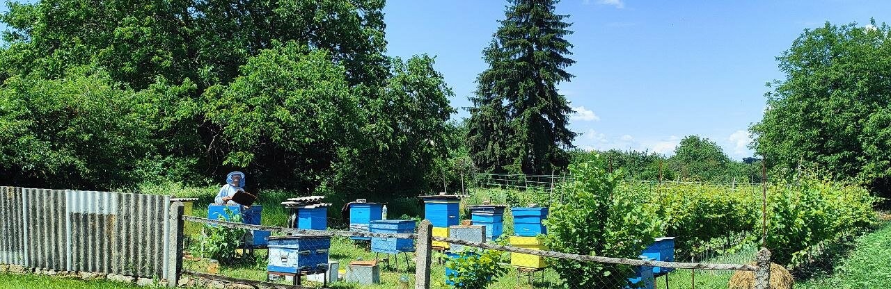 Якої погоди очікувати під час вихідних?