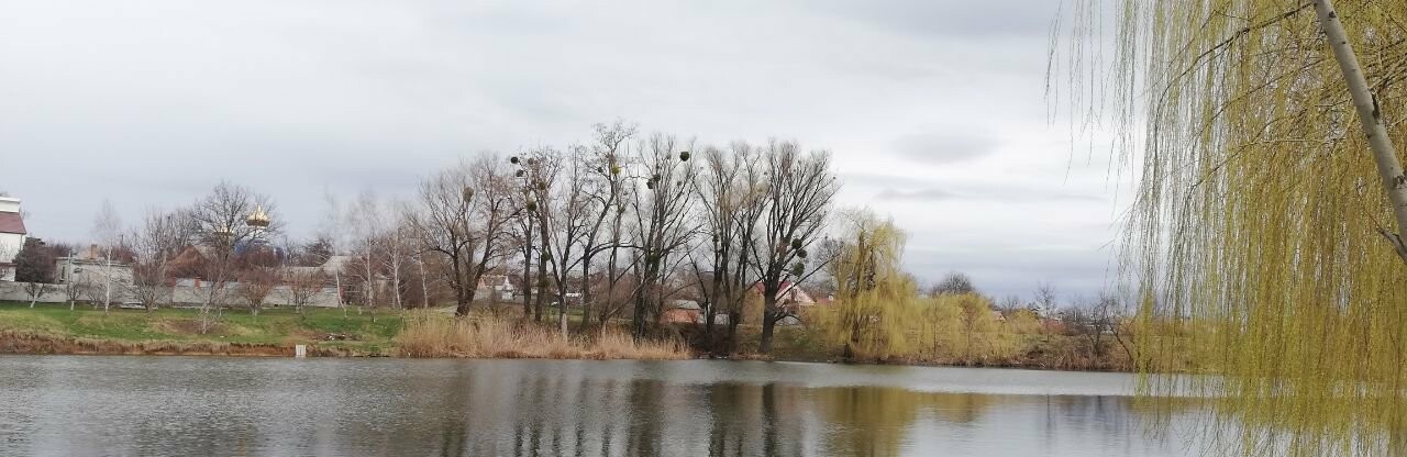 Новий тиждень буде холодним, у Полтаві понеділок розпочнеться дощем