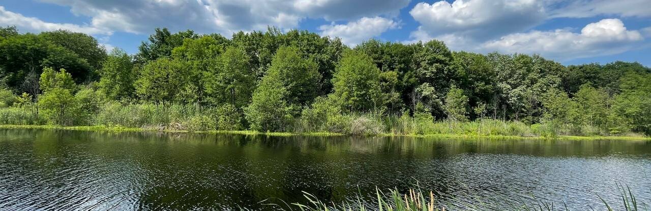 У неділю повітря на Полтавщині прогріється до +30