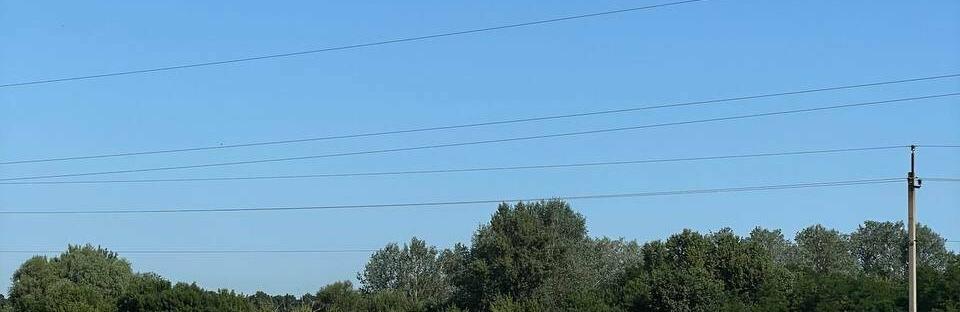 Повітря прогріється до 27 градусів: у Полтаві сьогодні очікується тепла погода