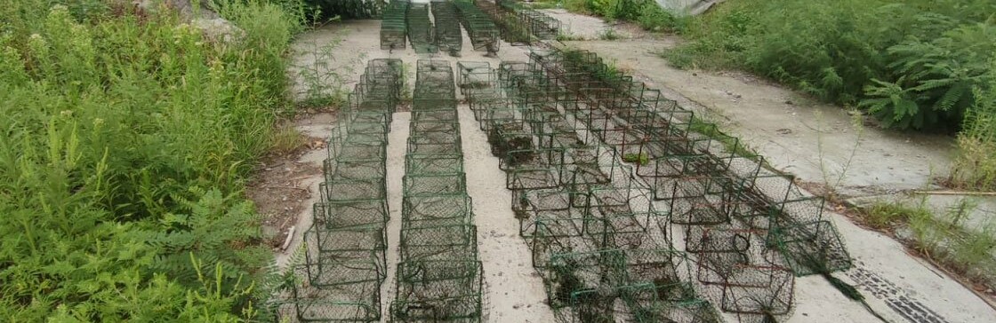 На Полтавщині поліція вилучила 12 браконьєрських раколовок 