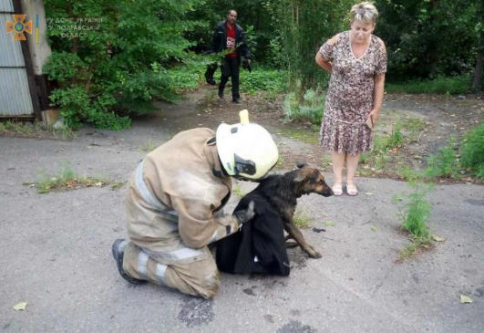 Рятувальники діставали з колодязя собаку