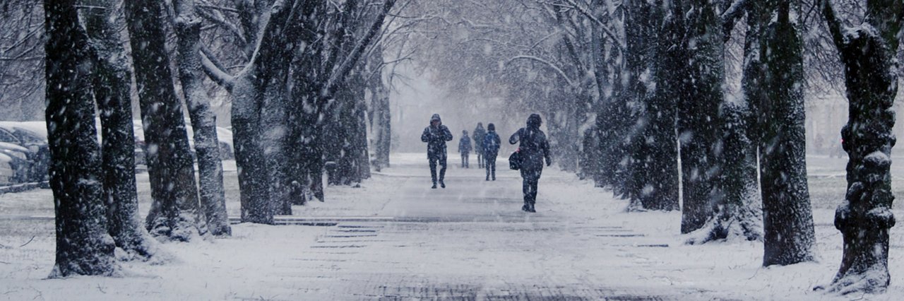 На Полтавщині синоптики прогнозують мокрий сніг та дощ