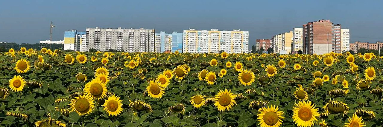 Народний синоптик попередила про шалену спеку на вихідних – припече до +40!