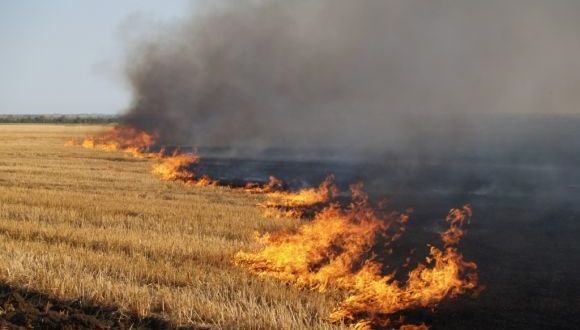 На Полтавщині під час спалювання стерні загинула пенсіонерка