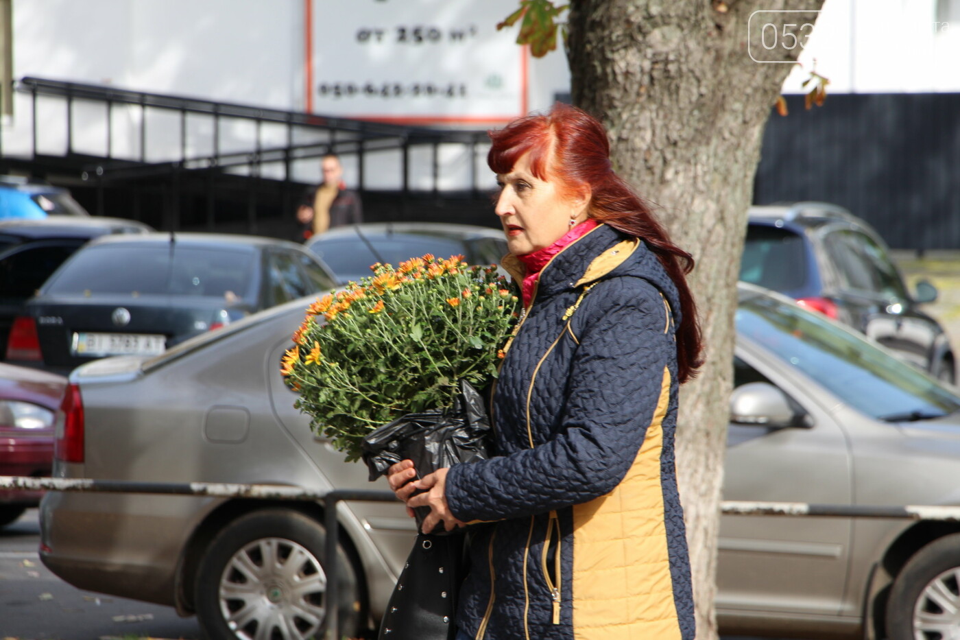 У Полтаві десятки містян принесли квіти на фестиваль хриза..., фото-11 У Полтаві десятки містян принесли квіти на фестиваль хризантем (ФОТО, ВІДЕО), фото-11