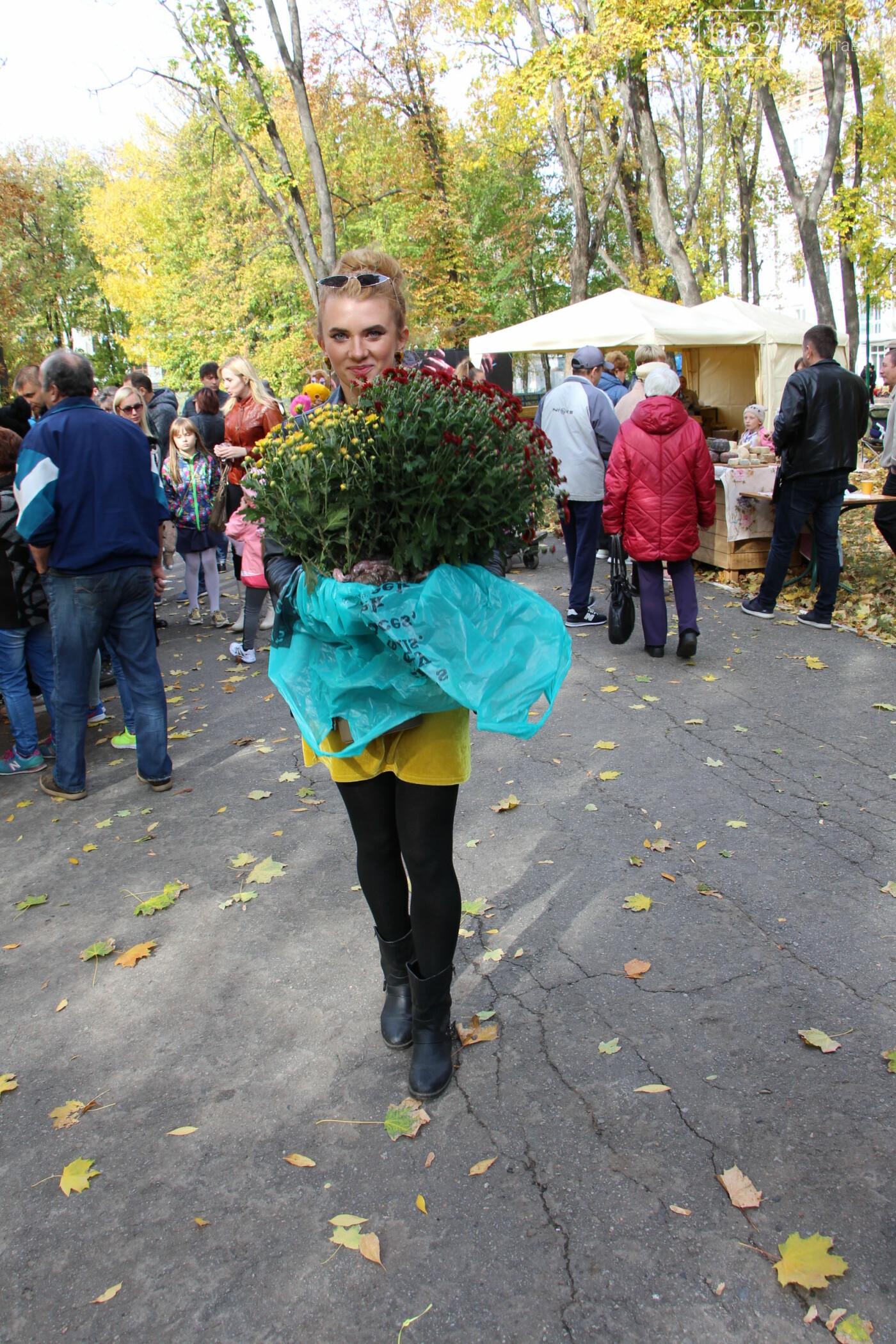 У Полтаві десятки містян принесли квіти на фестиваль хризан..., фото-9 У Полтаві десятки містян принесли квіти на фестиваль хризантем (ФОТО, ВІДЕО), фото-9