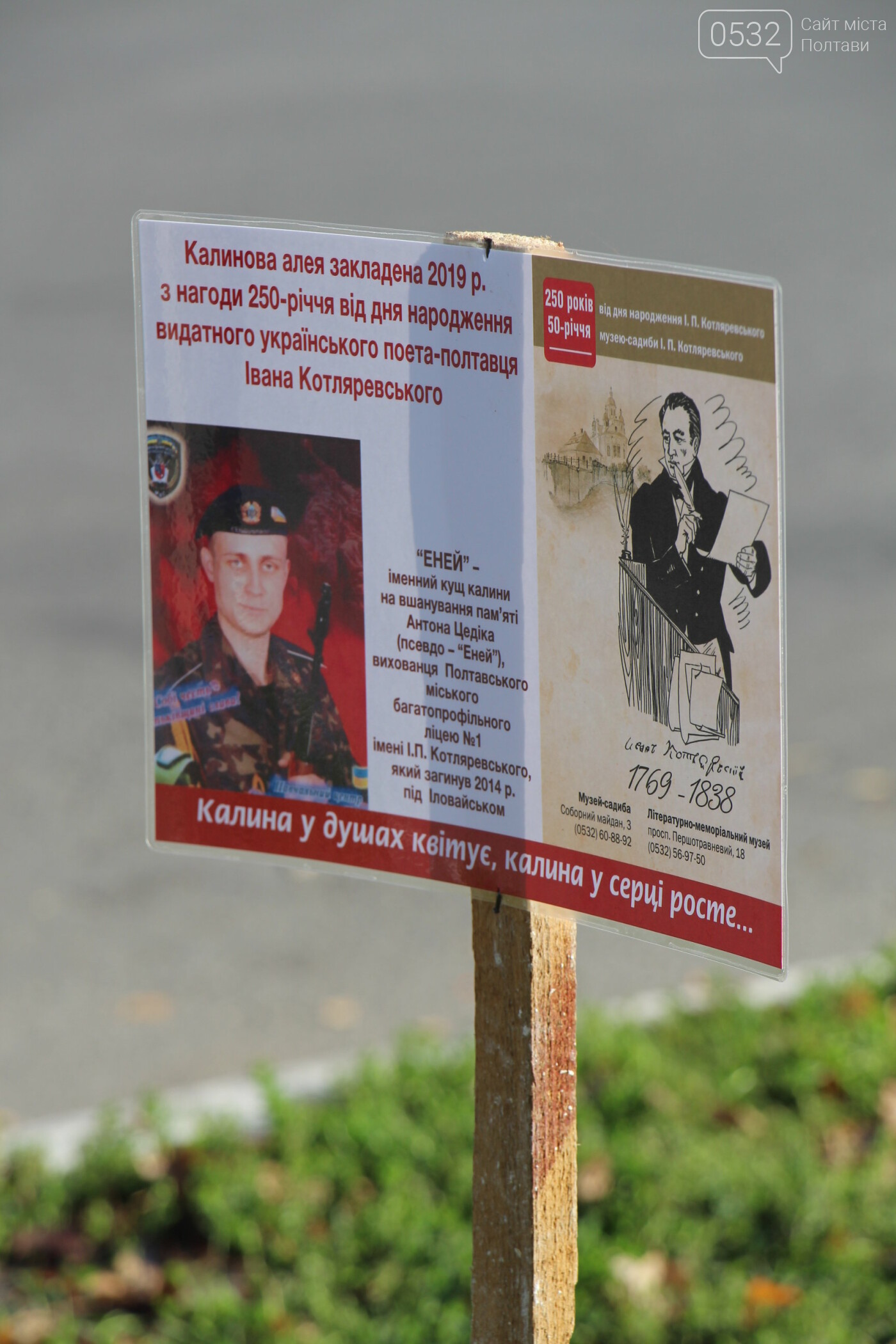 У Полтаві заклали калинову алею на честь Котляревського та..., фото-4 У Полтаві заклали калинову алею на честь Котляревського та загиблого Енея (ФОТО), фото-4