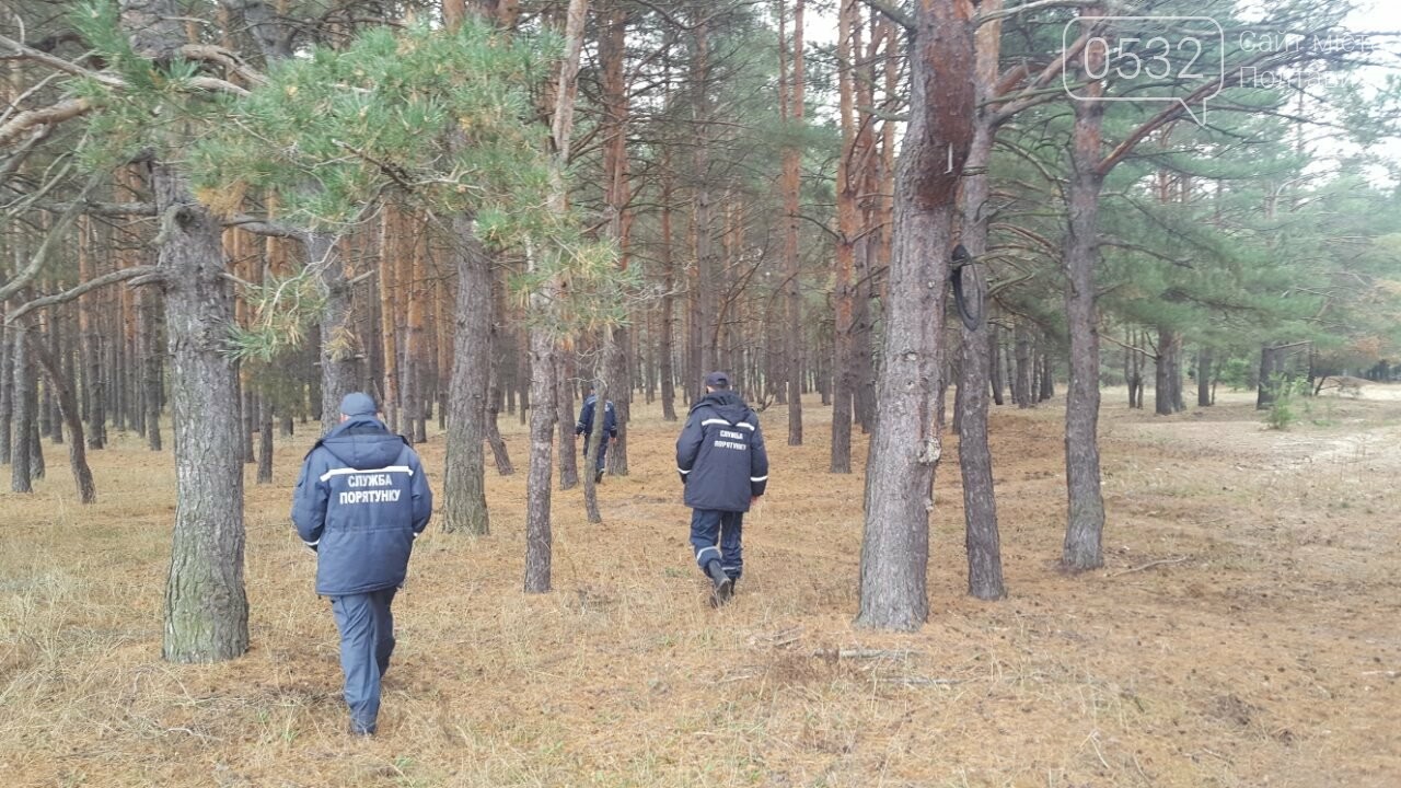 На Полтавщині знайшлася жінка, яку другий день шукали у лісі, фото-1 На Полтавщині знайшлася жінка, яку другий день шукали у лісі, фото-1