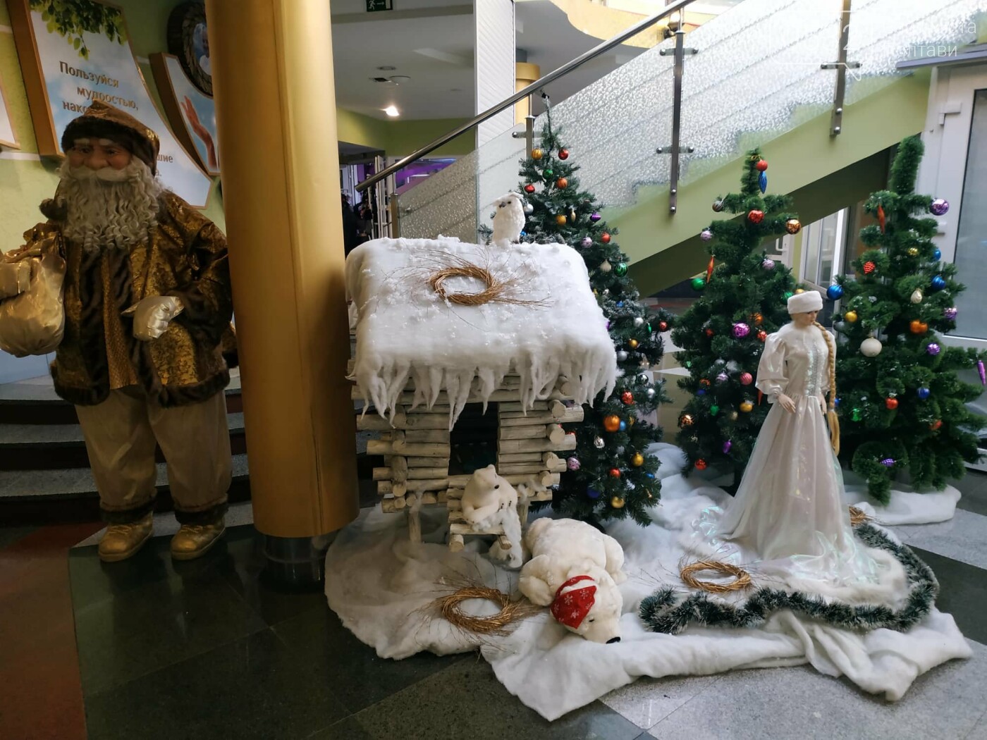 Полтава новорічна: нашестя мишей, блиск і креатив вітрин (..., фото-17 Полтава новорічна: нашестя мишей, блиск і креатив вітрин ( фоторепортаж), фото-17
