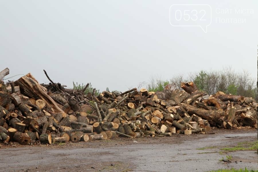 За минулий рік «Декоративні культури» спиляли 1327 аварійни..., фото-3 За минулий рік «Декоративні культури» спиляли 1327 аварійних дерев, фото-3