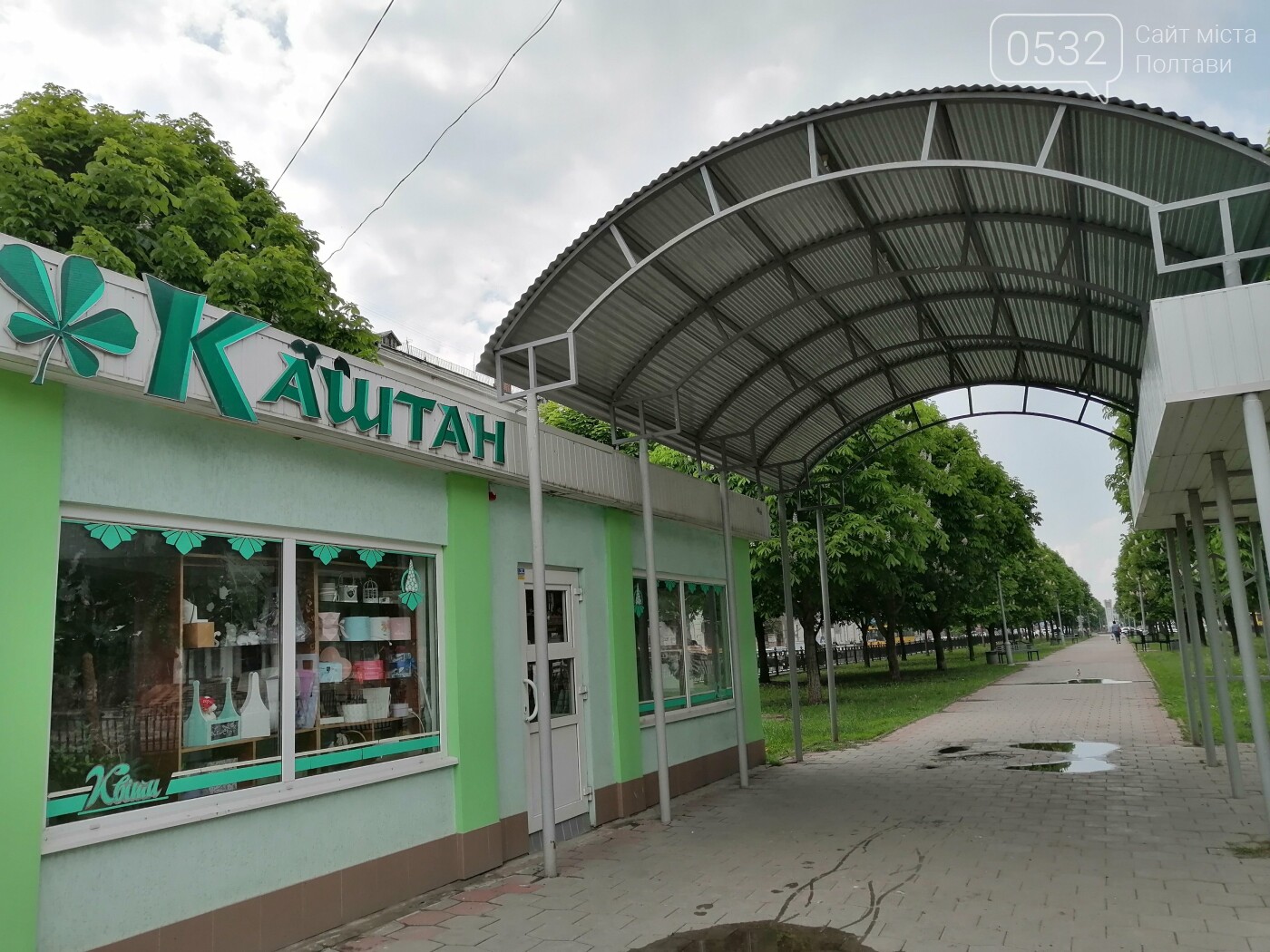 У Полтаві зацвіли каштани (ФОТОРЕПОРТАЖ), фото-16 У Полтаві зацвіли каштани (ФОТОРЕПОРТАЖ), фото-16