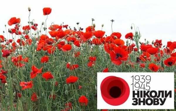 Українців закликають одягнути символ пам’яті - червоний мак, фото-1 Українців закликають одягнути символ пам’яті - червоний мак, фото-1