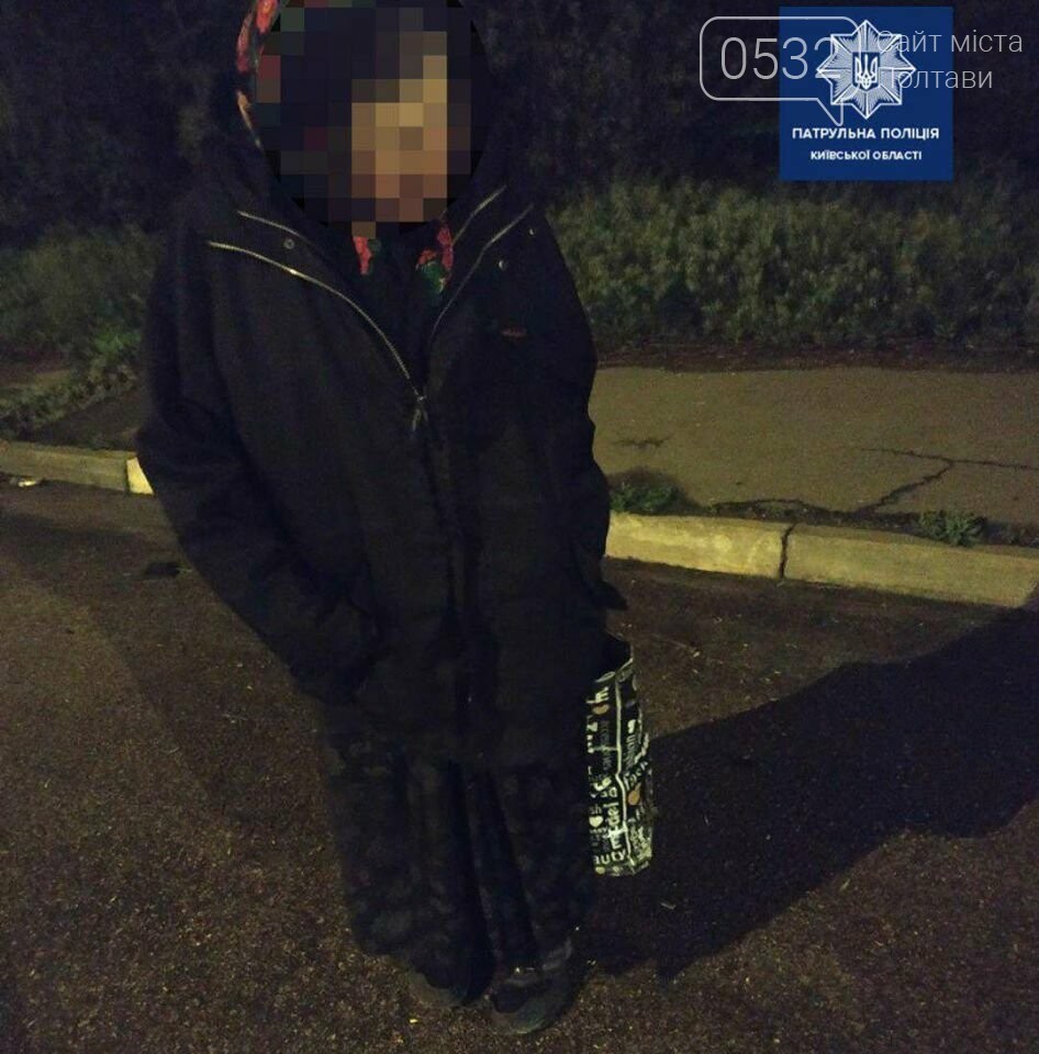 Бабуся з Полтави пішки дійшла до Києва, фото-1 Бабуся з Полтави пішки дійшла до Києва, фото-1