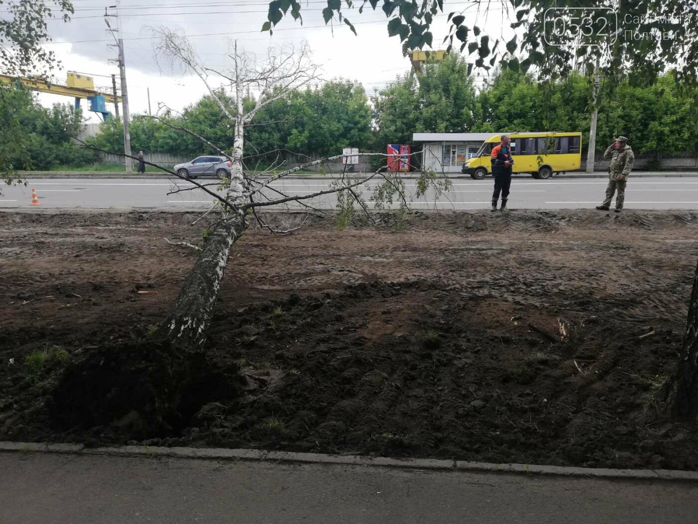 У Полтаві біля інституту зв’язку на дроти впала береза (ФОТО), фото-4 У Полтаві біля інституту зв’язку на дроти впала береза (ФОТО), фото-4
