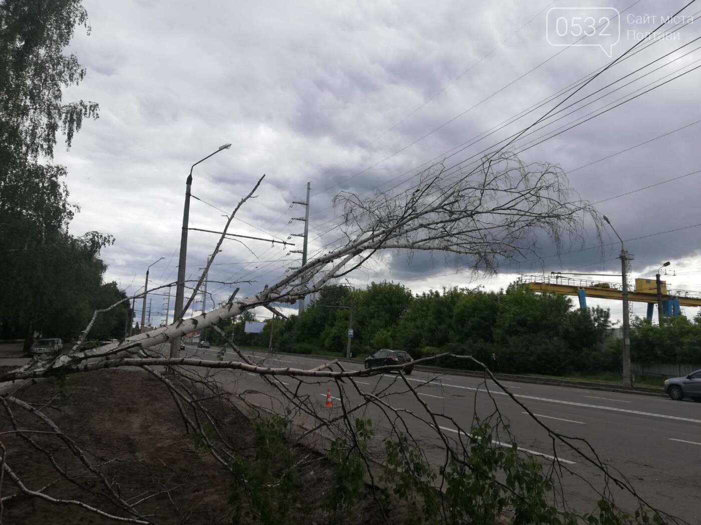 У Полтаві біля інституту зв’язку на дроти впала береза (ФОТО), фото-3 У Полтаві біля інституту зв’язку на дроти впала береза (ФОТО), фото-3