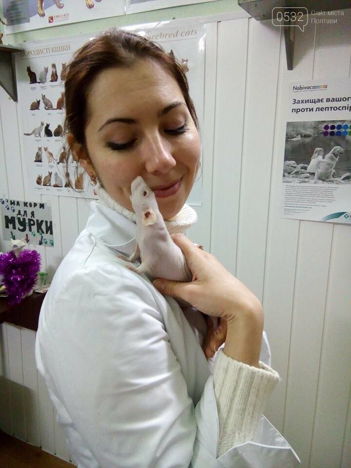 Терезія Локес - відомий і Полтаві лікар ветеринарної медицини Терезія Локес - відомий і Полтаві лікар ветеринарної медицини