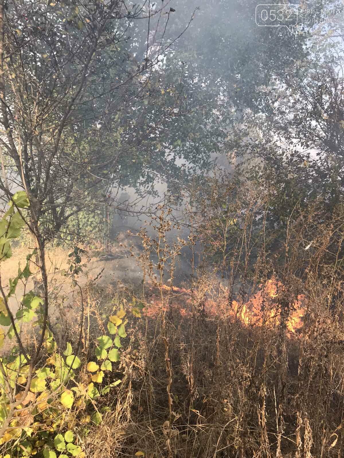 На Полтавщині за добу загасили 30 пожеж на відкритій території, фото-6 На Полтавщині за добу загасили 30 пожеж на відкритій території, фото-6
