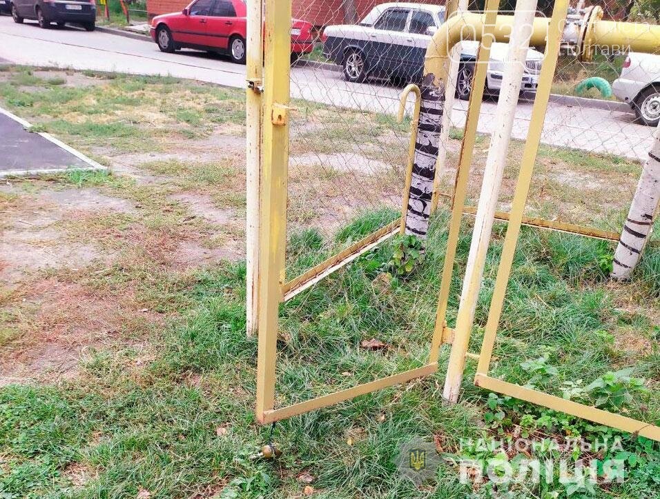 Знешкодження гранати Знешкодження гранати