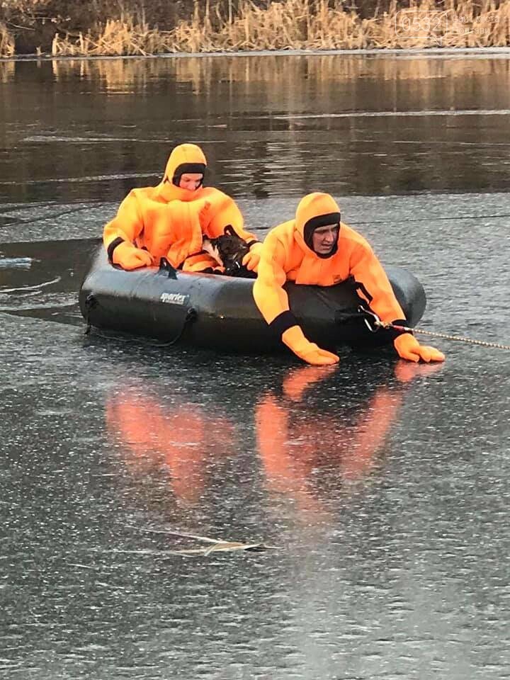 У Полтаві рятувальники витягнули із води цуценя, яке на Вор..., фото-2 У Полтаві рятувальники витягнули із води цуценя, яке на Ворсклі провалилося під лід (ФОТО), фото-2
