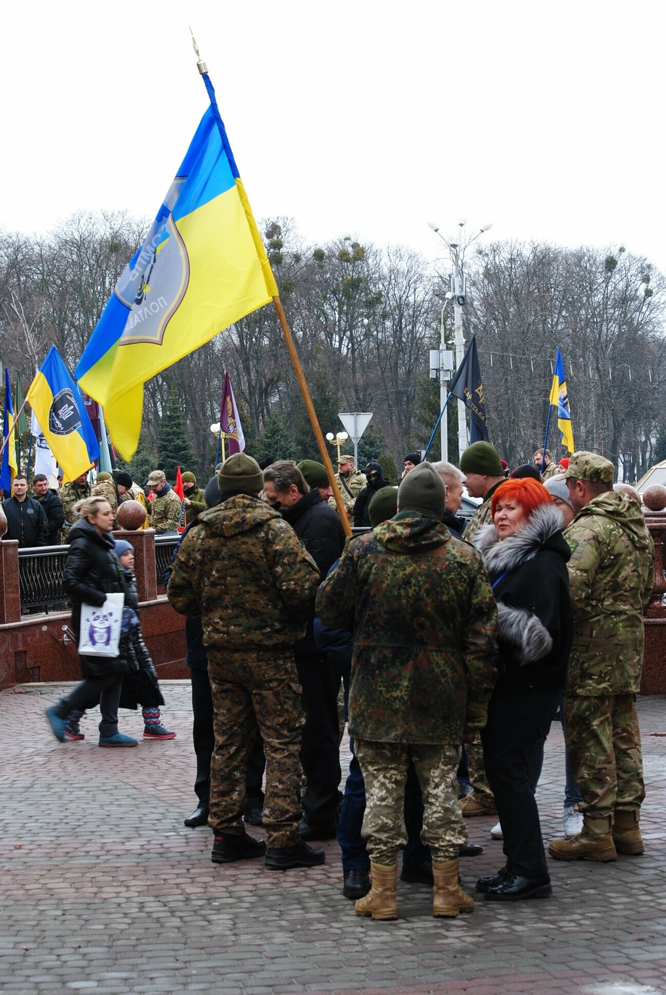 У Полтаві сотні людей вийшли на марш до Дня українського добровольця (ФОТО, ВІДЕО), фото-7