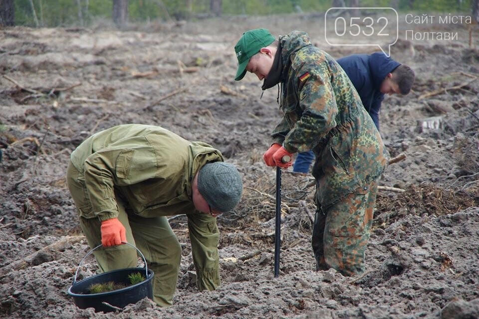 «Ліс – живий організм чи людський клопіт?» - думки експерт..., фото-7 «Ліс – живий організм чи людський клопіт?» - думки експертів з погляду екології і лісового господарства, фото-7