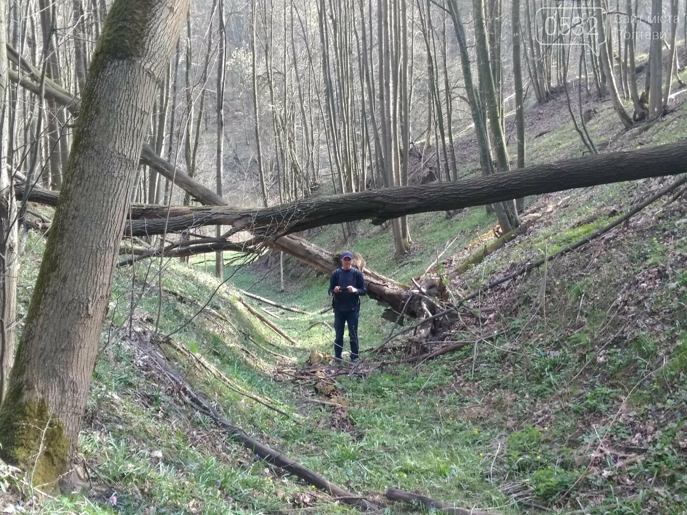 «Ліс – живий організм чи людський клопіт?» - думки експерт..., фото-2 «Ліс – живий організм чи людський клопіт?» - думки експертів з погляду екології і лісового господарства, фото-2