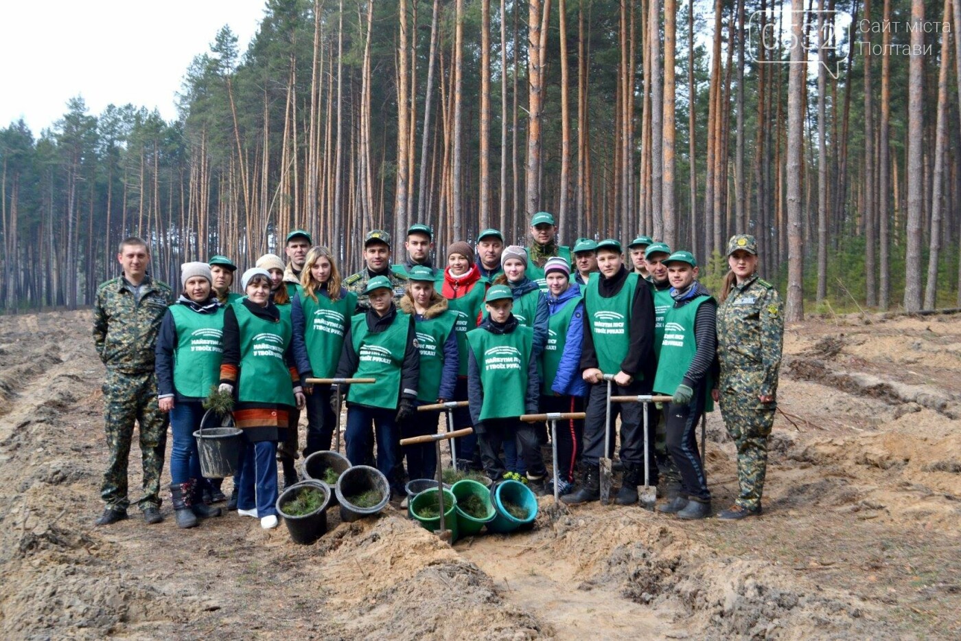 «Ліс – живий організм чи людський клопіт?» - думки експерт..., фото-6 «Ліс – живий організм чи людський клопіт?» - думки експертів з погляду екології і лісового господарства, фото-6