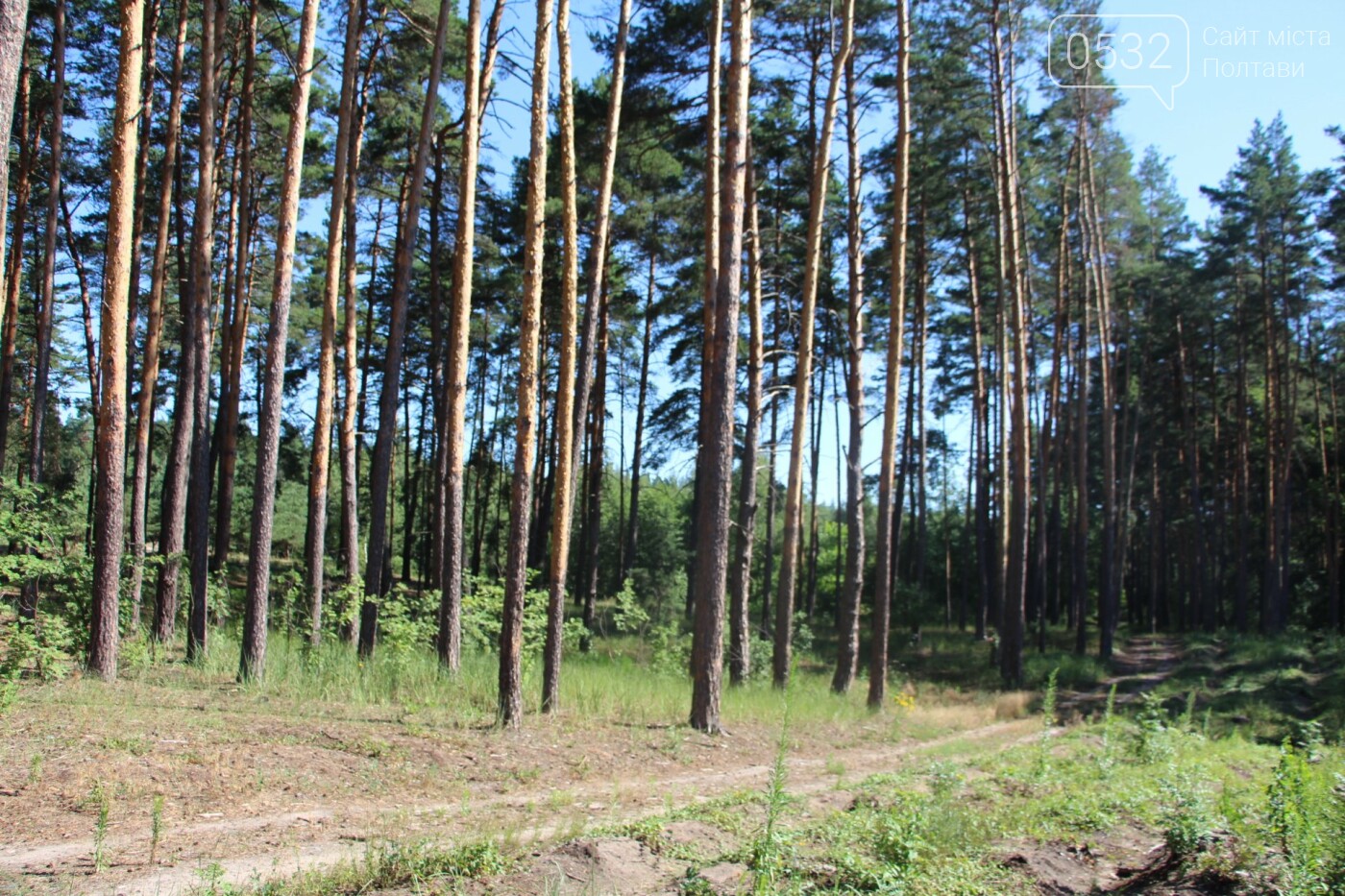 Полтавські лісівники захищають ліси під час надзвичайної п..., фото-40 Полтавські лісівники захищають ліси під час надзвичайної пожежної небезпеки, фото-40
