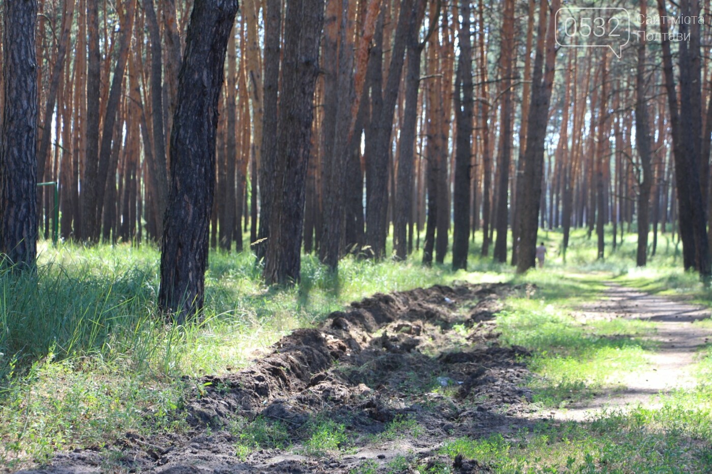 Полтавські лісівники захищають ліси під час надзвичайної п..., фото-11 Полтавські лісівники захищають ліси під час надзвичайної пожежної небезпеки, фото-11