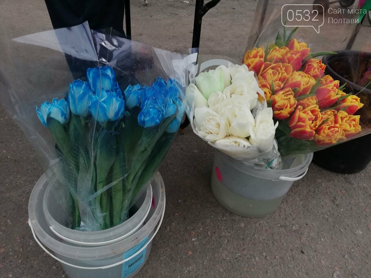 Скільки коштують тюльпани в Україні напередодні 8 березня: ціни вже кусаються