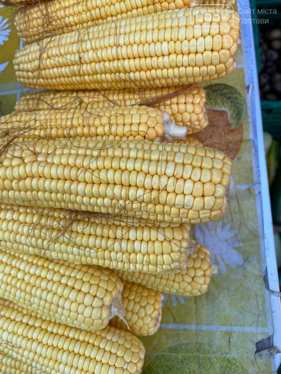 У Полтаві на «Хитрому» ринку кавун продають по 10 грн/кг, качан кукурудзу по 3 грн, а за кілограм картоплі "просять" 5 грн