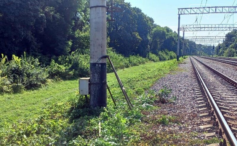 Смерть біля колій: на полтавській залізниці шершні до смерті покусали чоловіка