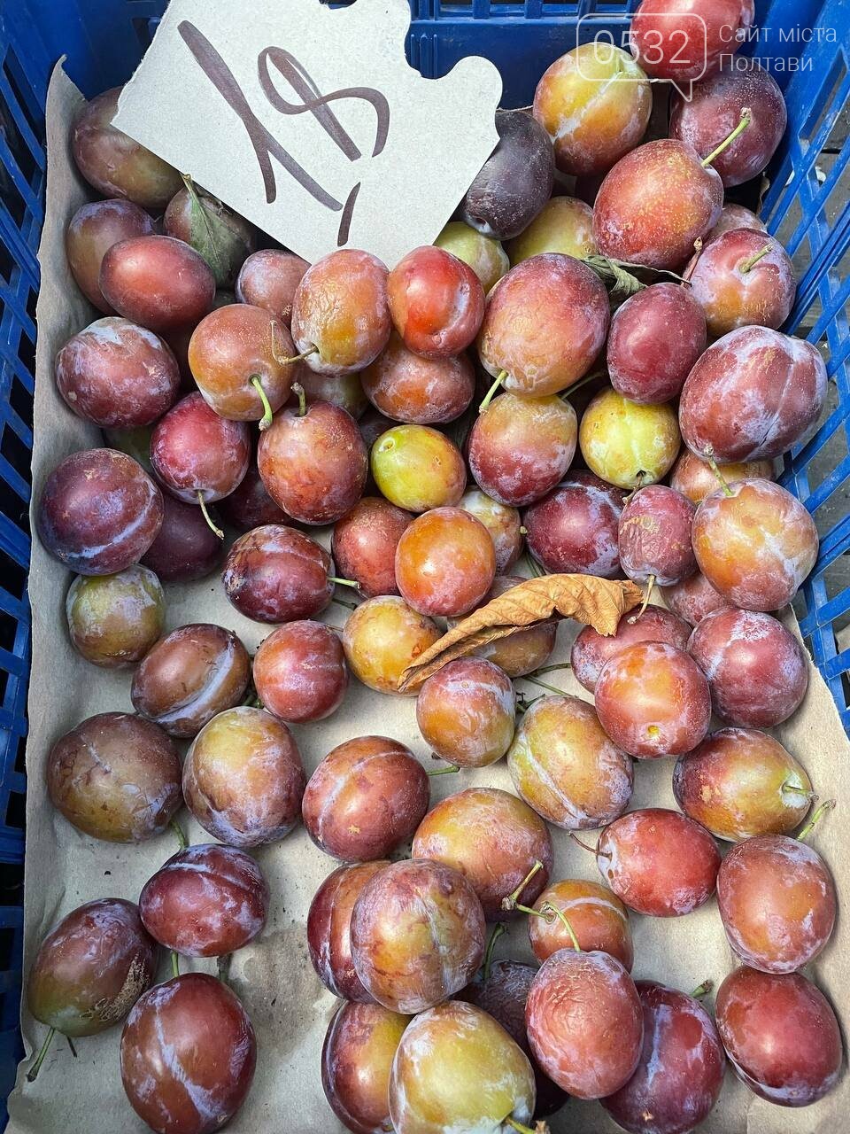 Попри початок осені на «Хитрому» ринку Полтави все ще літні ціни: кавуни і картопля – від 5, перець – від 10, а малина - від 35